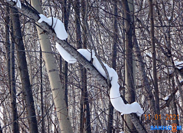 Змий ползучий.

Просмотров: 653
Комментариев: 0