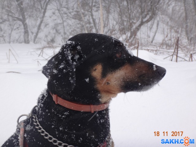 DSC08190

Просмотров: 739
Комментариев: 0