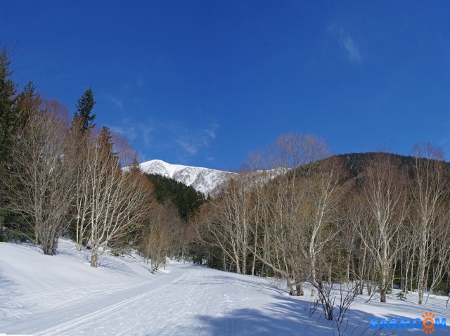 049-пан-к

Просмотров: 842
Комментариев: 0