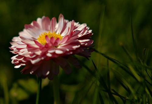 DSC05390
Фотограф: Сергей Буркацкий

Просмотров: 374
Комментариев: 0