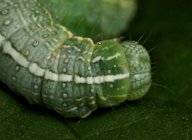 DSC01963
Фотограф: Сергей Буркацкий

Просмотров: 381
Комментариев: 0
