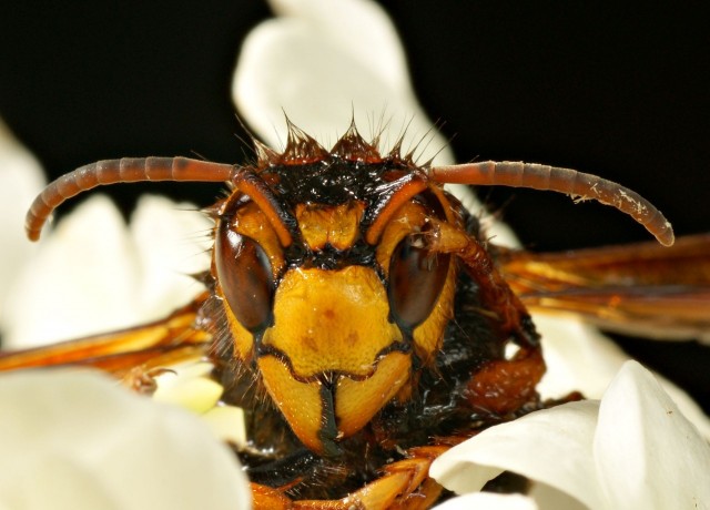 DSC00898
Фотограф: Сергей Буркацкий

Просмотров: 627
Комментариев: 0