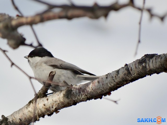 DSC03098

Просмотров: 425
Комментариев: 0