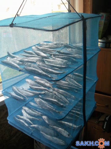 13 Nov 2011

Просмотров: 1610
Комментариев: 0