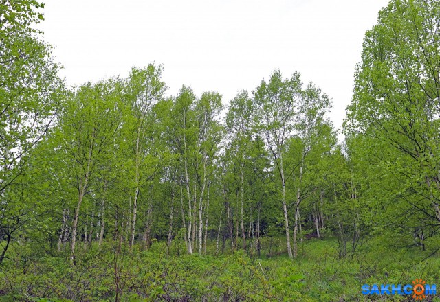 087-к

Просмотров: 738
Комментариев: 0