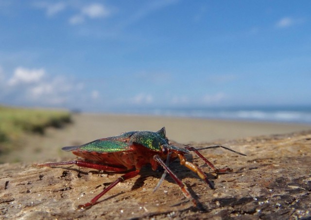 DSC06733
Фотограф: Сергей Буркацкий

Просмотров: 944
Комментариев: 0