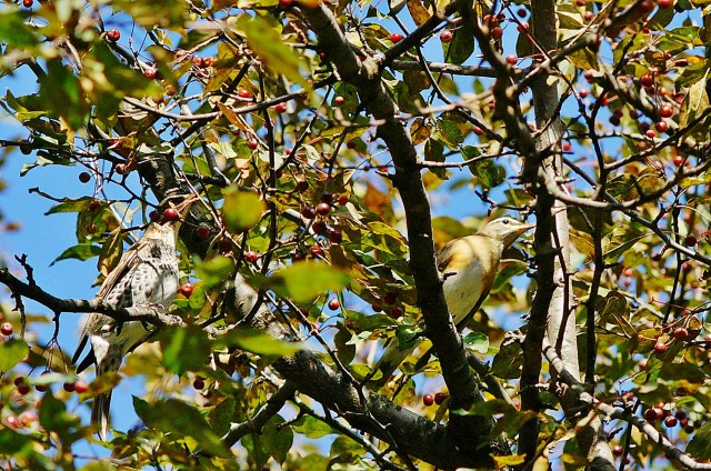 ***
Фотограф: Сергей Буркацкий

Просмотров: 913
Комментариев: 0