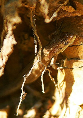 ***
Фотограф: Сергей Буркацкий

Просмотров: 1385
Комментариев: 0