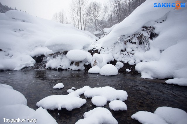 :)
Фотограф: Tsygankov Yuriy

Просмотров: 526
Комментариев: 1