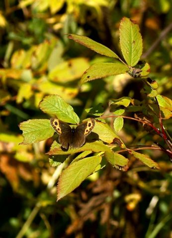 ***
Фотограф: Сергей Буркацкий

Просмотров: 1047
Комментариев: 0