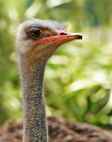 ***
Фотограф: Сергей Буркацкий

Просмотров: 593
Комментариев: 0