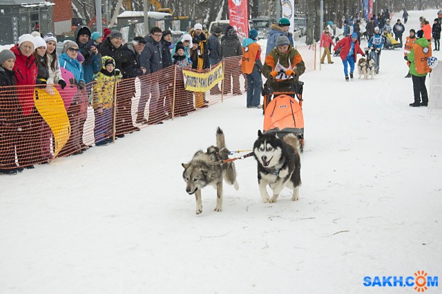 DSC_7820
Фотограф: фотохроник

Просмотров: 537
Комментариев: 0