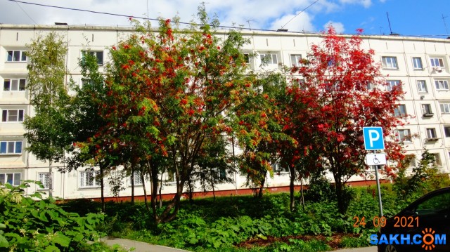 DSC05552

Просмотров: 483
Комментариев: 0