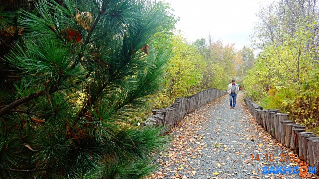 DSC08022

Просмотров: 399
Комментариев: 0