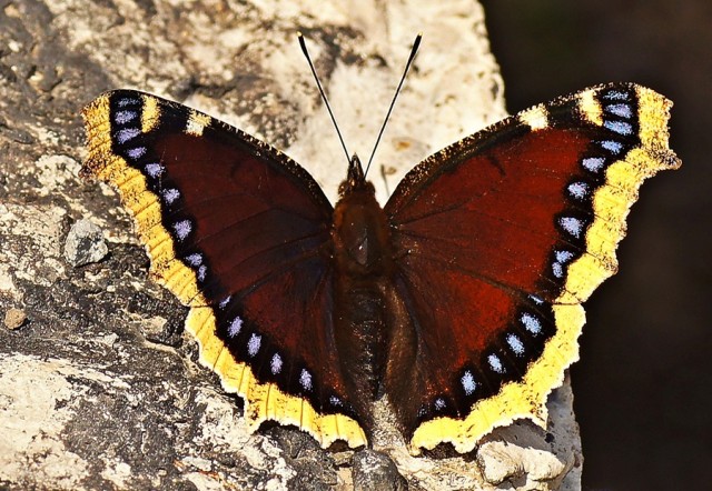 ***
Фотограф: Сергей Буркацкий

Просмотров: 621
Комментариев: 0