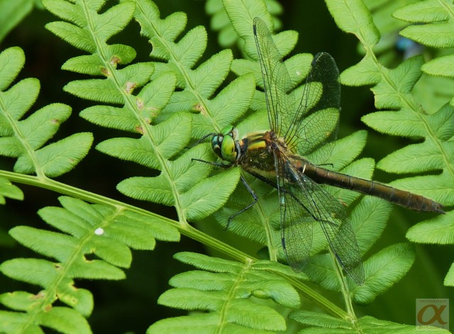 ***
Фотограф: Сергей Буркацкий

Просмотров: 690
Комментариев: 0