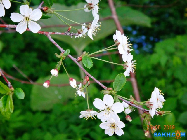 DSC07261

Просмотров: 788
Комментариев: 0