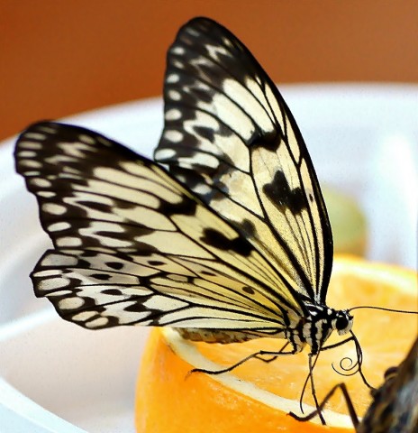 ***
Фотограф: Сергей Буркацкий

Просмотров: 609
Комментариев: 0