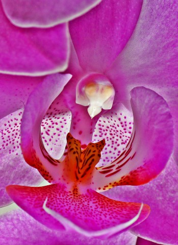 ***
Фотограф: Сергей Буркацкий

Просмотров: 844
Комментариев: 0