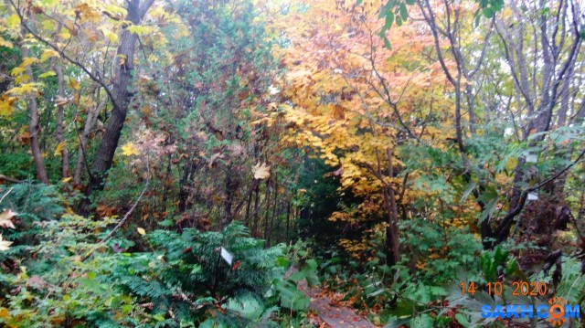 DSC08010

Просмотров: 411
Комментариев: 0