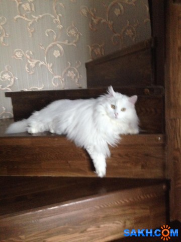 i (17)

Просмотров: 1304
Комментариев: 0