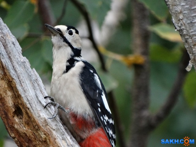 DSC05253_н

Просмотров: 576
Комментариев: 0