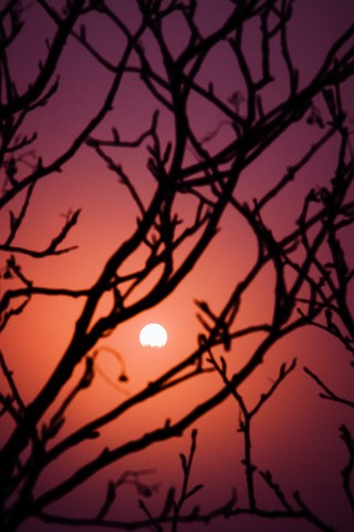 *****
Время плавилось воском старинных свечей,
В чашке дня обозначилось донце,
В паутином ажуре сплетенных ветвей
Желтой бабочкой путалось солнце...
Просмотров: 703
Комментариев: 0