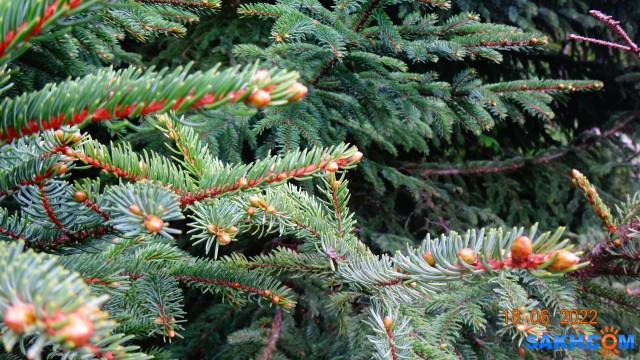 DSC09844

Просмотров: 379
Комментариев: 0