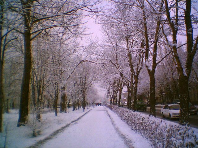 Путь домой зимой
Фотограф: АС-2й
Первый снег в Южно-Сахалинске

Просмотров: 1568
Комментариев: 0