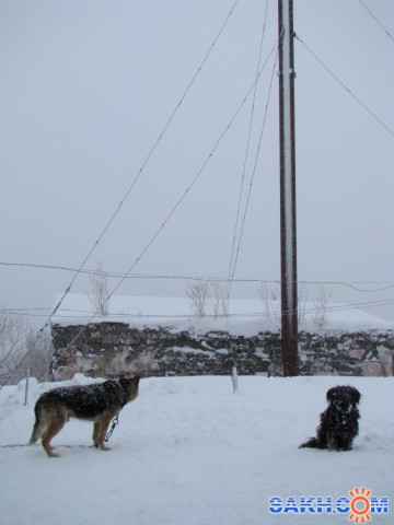 после циклона
Фотограф: demon-65

Просмотров: 1192
Комментариев: 0