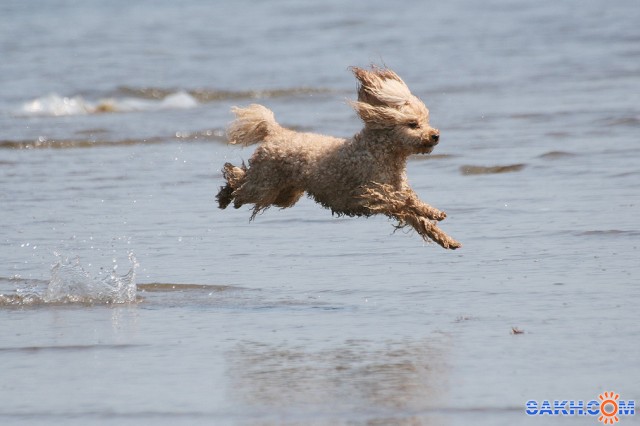 в полете

Просмотров: 1778
Комментариев: 5