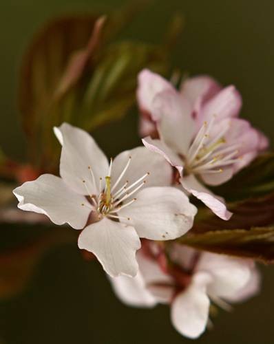 DSC04908
Фотограф: Сергей Буркацкий

Просмотров: 415
Комментариев: 0