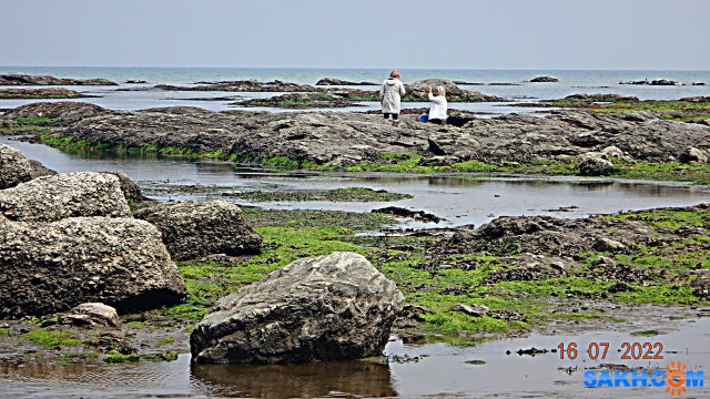 DSC00901