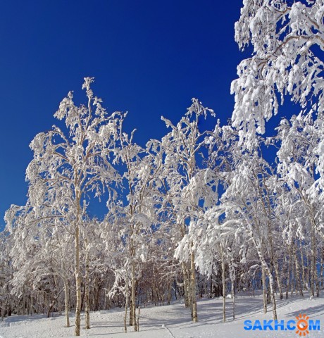 295-пан-к

Просмотров: 782
Комментариев: 0