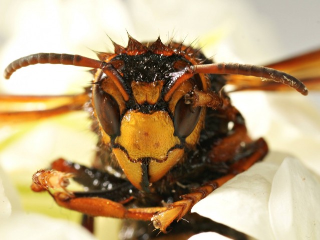 DSC00899
Фотограф: Сергей Буркацкий

Просмотров: 708
Комментариев: 0