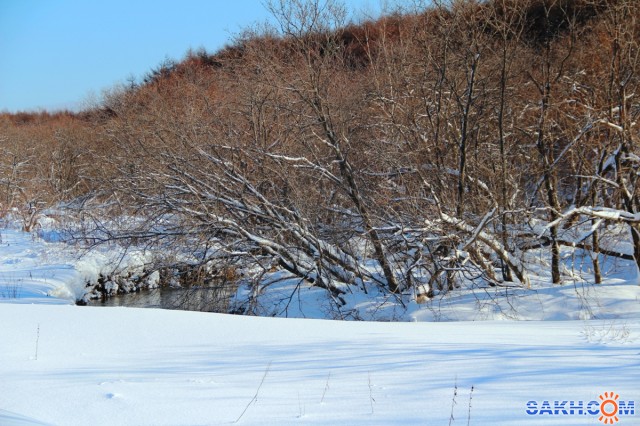Сахалинская зима
Фотограф: gadzila

Просмотров: 2244
Комментариев: 0
