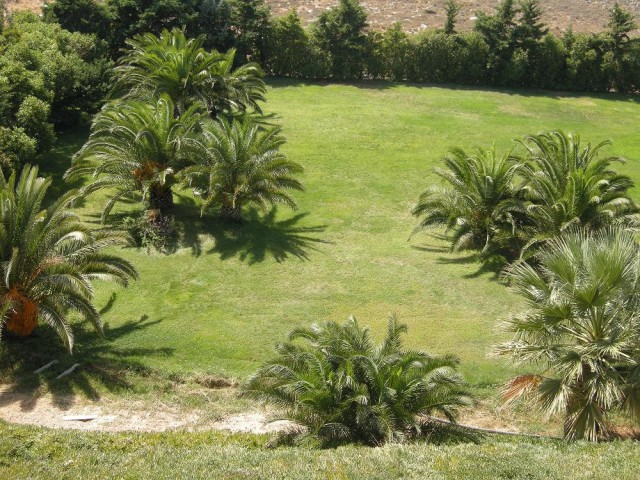 DSCN1031