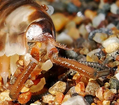 DSC02000
Фотограф: Сергей Буркацкий

Просмотров: 608
Комментариев: 0