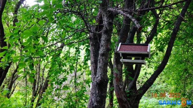 DSC09879

Просмотров: 290
Комментариев: 0