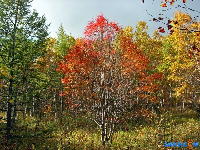 Dscn2151-л

Просмотров: 640
Комментариев: 0