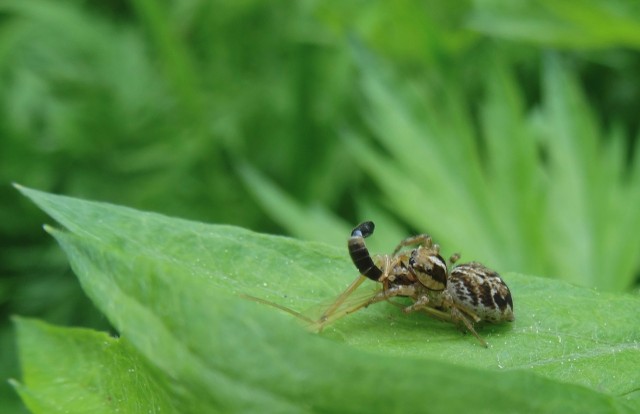 DSC01517
Фотограф: Сергей Буркацкий

Просмотров: 649
Комментариев: 0