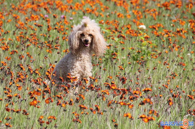 лето

Просмотров: 1357
Комментариев: 0