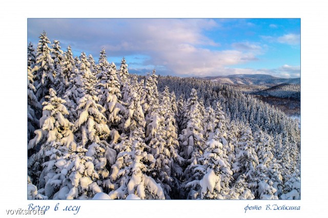 DJI_0822 м