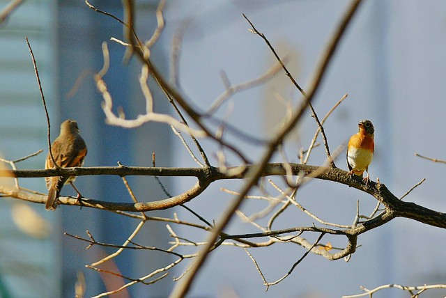 ***
Фотограф: Сергей Буркацкий

Просмотров: 1323
Комментариев: 0