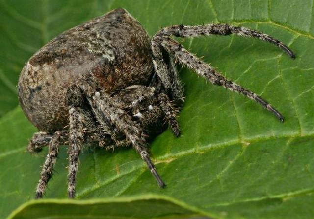 Фото 836
Фотограф: Сергей Буркацкий

Просмотров: 518
Комментариев: 0