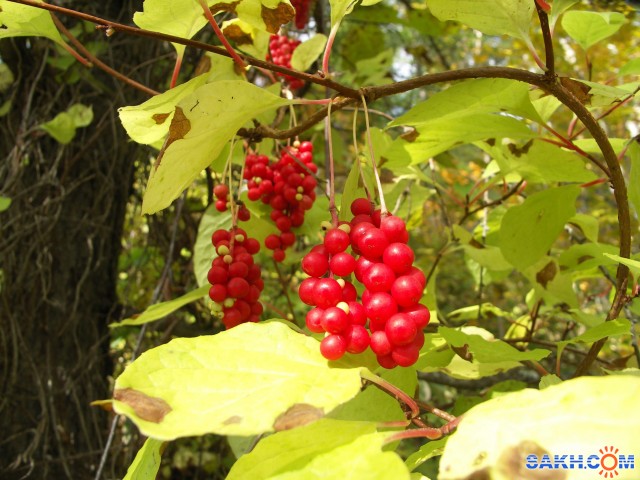 PICT0038_small

Просмотров: 4544
Комментариев: 0