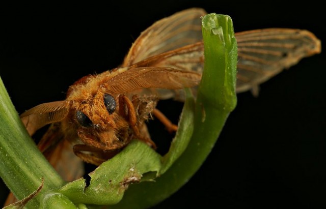 DSC01969
Фотограф: Сергей Буркацкий

Просмотров: 370
Комментариев: 0