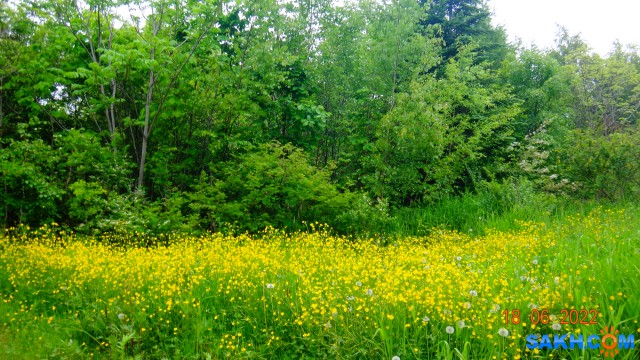 DSC09902