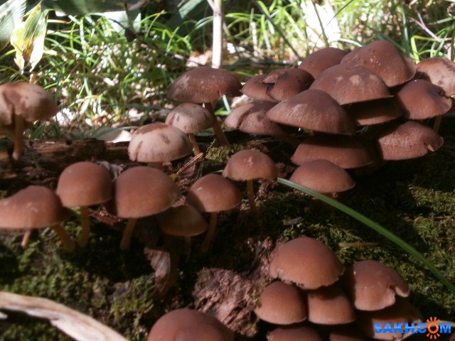 P9210699

Просмотров: 3797
Комментариев: 1