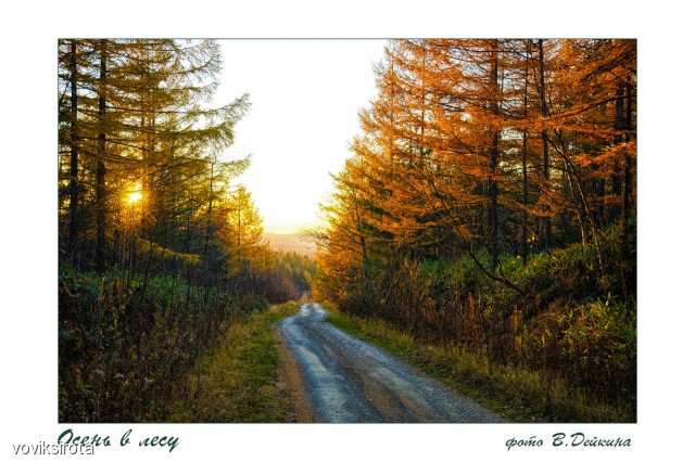 Осень
Фотограф: В.Дейкин

Просмотров: 3553
Комментариев: 1